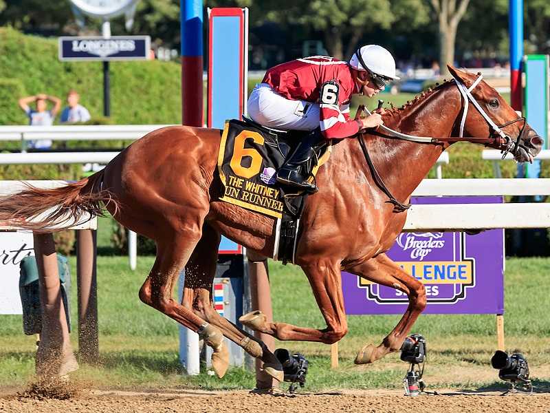 2017 Breeders Cup Charts