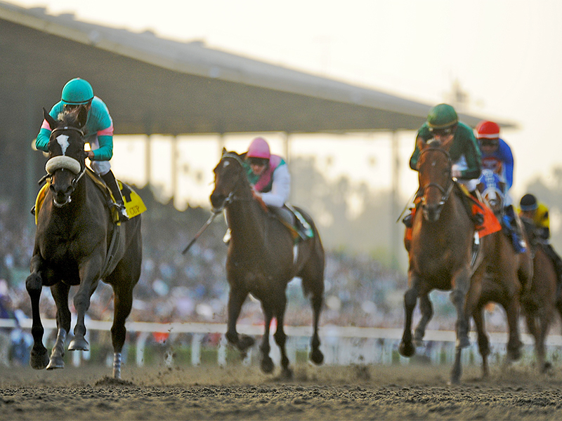 2009 Kentucky Derby Chart