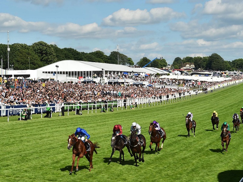 Epsom Downs Promotion Xpressbet