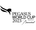 Pegasus World Cup Logo