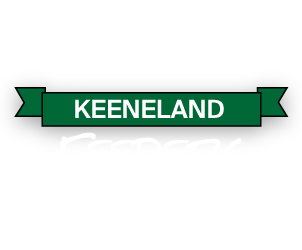 $800 Travers Day Challenge Logo