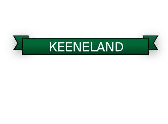 $800 Travers Day Challenge Logo