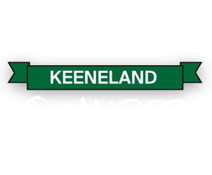 $800 Travers Day Challenge Logo