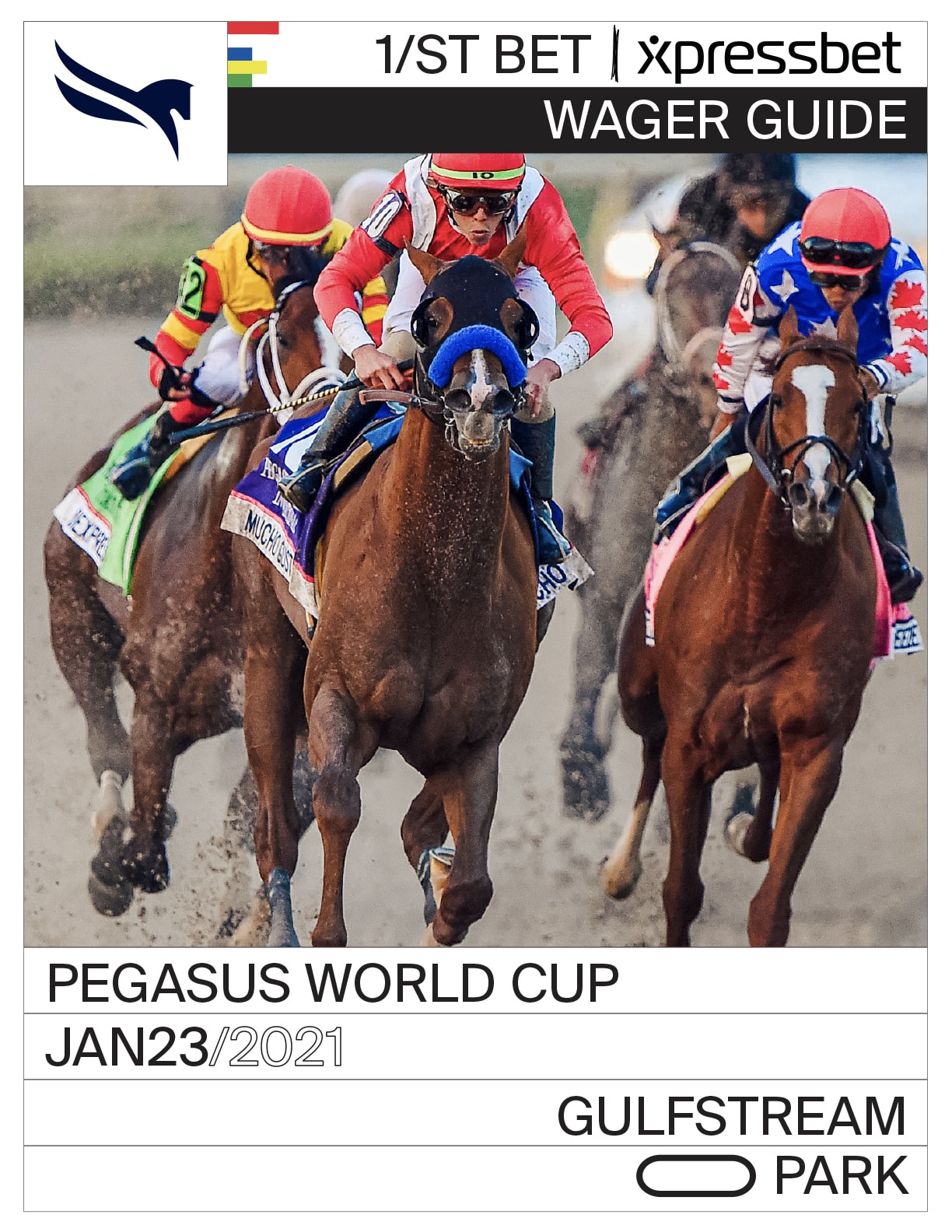 2021 Pegasus World Cup Wager Guide | Xpressbet