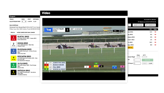 Preview of wagering interface