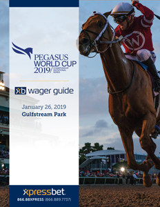 Pegasus world cup betting