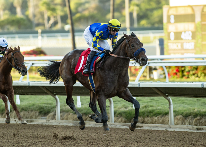 Jon White Updated Derby Top 10, Plus Tampa Bay Derby Picks Xpressbet